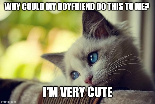 First World Problems Cat Meme | WHY COULD MY BOYFRIEND DO THIS TO ME? I'M VERY CUTE | image tagged in memes,first world problems cat | made w/ Imgflip meme maker