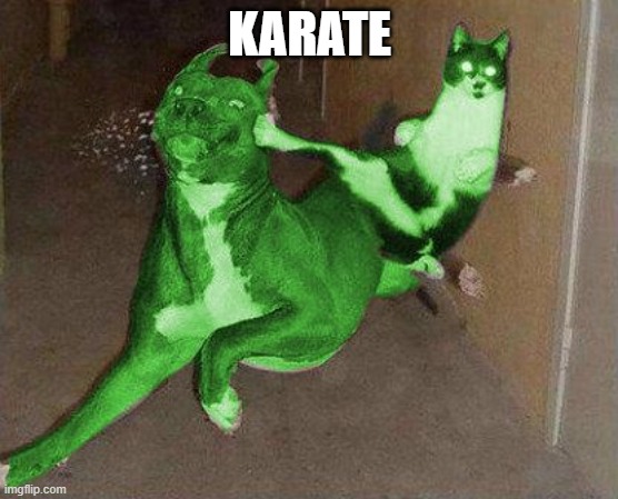 RayCat kicking RayDog | KARATE | image tagged in raycat kicking raydog | made w/ Imgflip meme maker