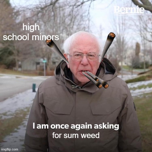 Bernie I Am Once Again Asking For Your Support | high school minors; for sum weed | image tagged in memes,bernie i am once again asking for your support | made w/ Imgflip meme maker