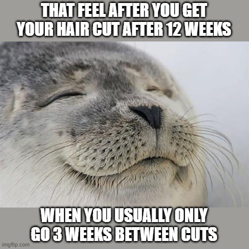 I think I lost a couple of pounds... | THAT FEEL AFTER YOU GET YOUR HAIR CUT AFTER 12 WEEKS; WHEN YOU USUALLY ONLY GO 3 WEEKS BETWEEN CUTS | image tagged in memes,satisfied seal,haricuts | made w/ Imgflip meme maker