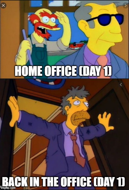 BACK AT THE OFFICE | HOME OFFICE (DAY 1); BACK IN THE OFFICE (DAY 1) | image tagged in homeoffice,covid-19 | made w/ Imgflip meme maker