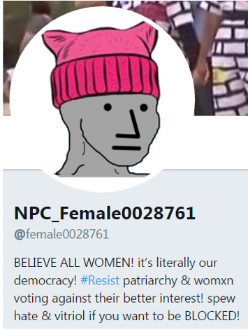 pussy hat Blank Meme Template