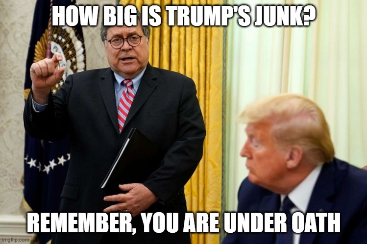 Barr under oath | HOW BIG IS TRUMP'S JUNK? REMEMBER, YOU ARE UNDER OATH | image tagged in donald trump,barr,junk,dickjoke | made w/ Imgflip meme maker