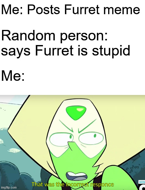 I <3 Furret | Me: Posts Furret meme; Random person:
says Furret is stupid; Me: | image tagged in incorrect responce,pokemon,memes | made w/ Imgflip meme maker