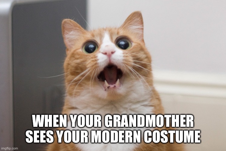 "oh my GOSH you look SO grown UP" lol | WHEN YOUR GRANDMOTHER SEES YOUR MODERN COSTUME | image tagged in amazed cat | made w/ Imgflip meme maker