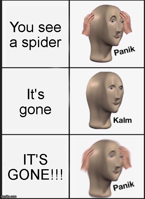 I hate spiders | You see a spider; It's gone; IT'S GONE!!! | image tagged in memes,panik kalm panik | made w/ Imgflip meme maker