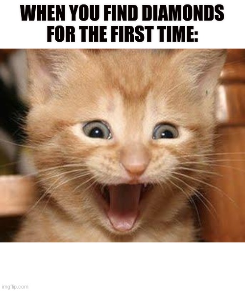 Excited Cat Meme | WHEN YOU FIND DIAMONDS FOR THE FIRST TIME: | image tagged in memes,excited cat | made w/ Imgflip meme maker