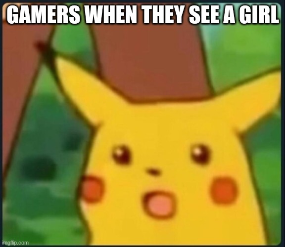 Surprised Pikachu | GAMERS WHEN THEY SEE A GIRL | image tagged in surprised pikachu,mocking spongebob,batman slapping robin,its not going to happen | made w/ Imgflip meme maker