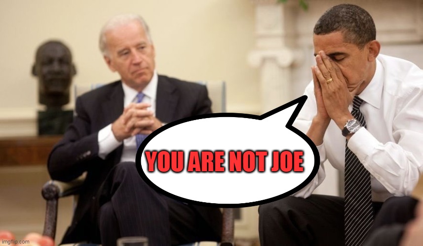 Biden Obama | YOU ARE NOT JOE | image tagged in biden obama | made w/ Imgflip meme maker