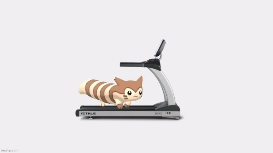 Furret Running On Treadmill | image tagged in furret running on treadmill | made w/ Imgflip meme maker