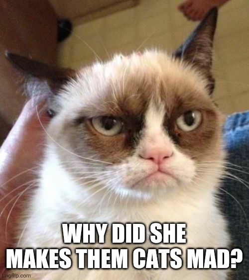 Grumpy Cat Reverse Meme | WHY DID SHE MAKES THEM CATS MAD? | image tagged in memes,grumpy cat reverse,grumpy cat | made w/ Imgflip meme maker