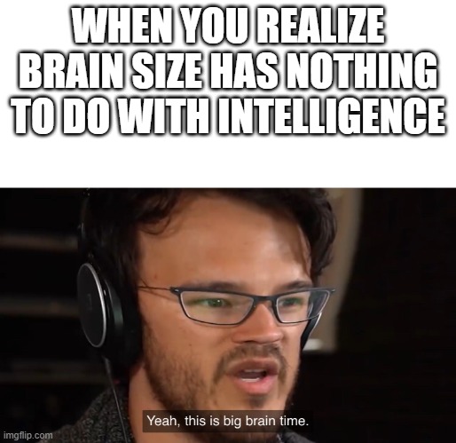 Big Brain | WHEN YOU REALIZE BRAIN SIZE HAS NOTHING TO DO WITH INTELLIGENCE | image tagged in yeah this is big brain time | made w/ Imgflip meme maker