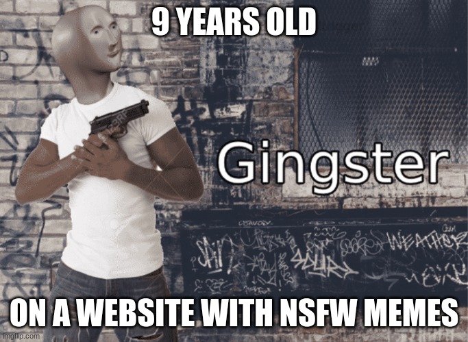 Gingster | 9 YEARS OLD ON A WEBSITE WITH NSFW MEMES | image tagged in gingster | made w/ Imgflip meme maker