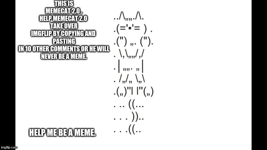 Memecat 2.0 | THIS IS MEMECAT 2.0 . HELP MEMECAT 2.0 
TAKE OVER IMGFLIP BY COPYING AND 
PASTING IN 10 OTHER COMMENTS OR HE WILL
NEVER BE A MEME. HELP ME BE A MEME. | image tagged in share,with,others to,spread,the good,news | made w/ Imgflip meme maker