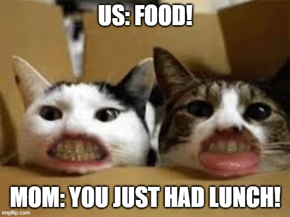 Hungry | US: FOOD! MOM: YOU JUST HAD LUNCH! | image tagged in impatience,issues | made w/ Imgflip meme maker