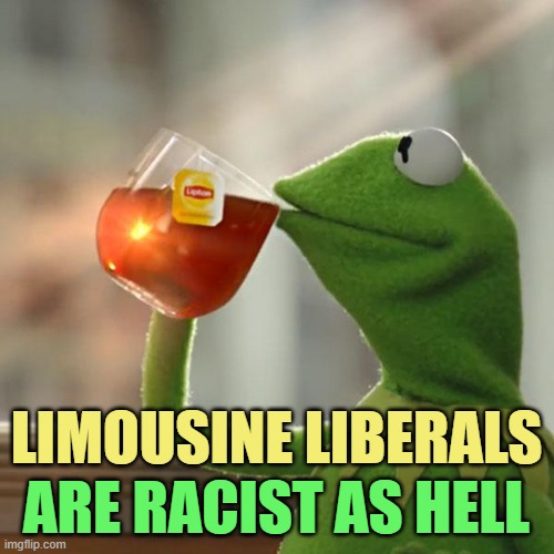 But That's None Of My Business Meme | LIMOUSINE LIBERALS ARE RACIST AS HELL | image tagged in memes,but that's none of my business,kermit the frog | made w/ Imgflip meme maker