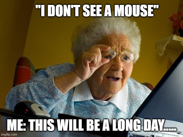 Grandma's found the internet! | "I DON'T SEE A MOUSE"; ME: THIS WILL BE A LONG DAY..... | image tagged in memes,grandma finds the internet,obvious | made w/ Imgflip meme maker