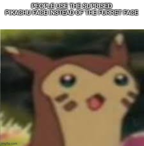 new template | PEOPLE USE THE SUPRISED PIKACHU FACE INSTEAD OF THE FURRET FACE | image tagged in furret surprised | made w/ Imgflip meme maker
