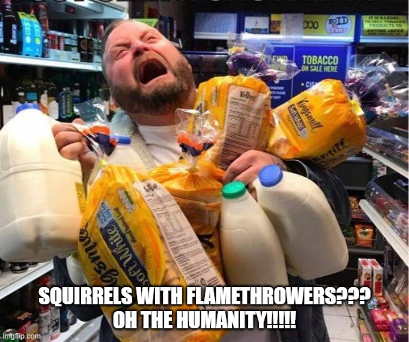 Squirrels with Flamethrowers??? | SQUIRRELS WITH FLAMETHROWERS???
OH THE HUMANITY!!!!! | image tagged in 2020 | made w/ Imgflip meme maker
