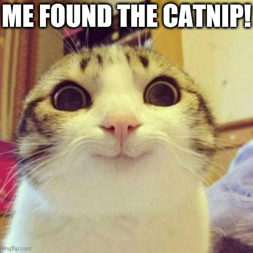 Smiling Cat | ME FOUND THE CATNIP! | image tagged in memes,smiling cat | made w/ Imgflip meme maker