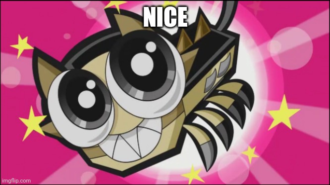 Cute Scorpi | NICE | image tagged in cute scorpi | made w/ Imgflip meme maker