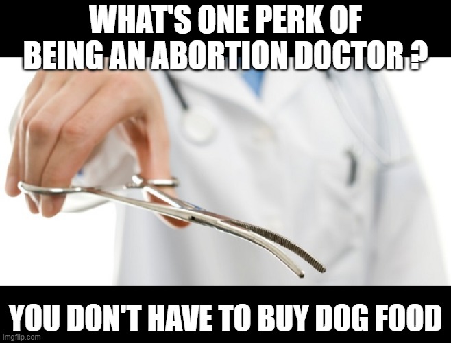 Well Fed Dogs | WHAT'S ONE PERK OF BEING AN ABORTION DOCTOR ? YOU DON'T HAVE TO BUY DOG FOOD | image tagged in abortioniswrong | made w/ Imgflip meme maker