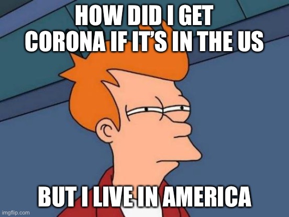 Random Meme | HOW DID I GET CORONA IF IT’S IN THE US; BUT I LIVE IN AMERICA | image tagged in memes,futurama fry | made w/ Imgflip meme maker