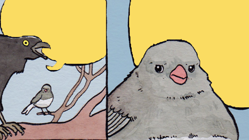 High Quality angry bird Blank Meme Template