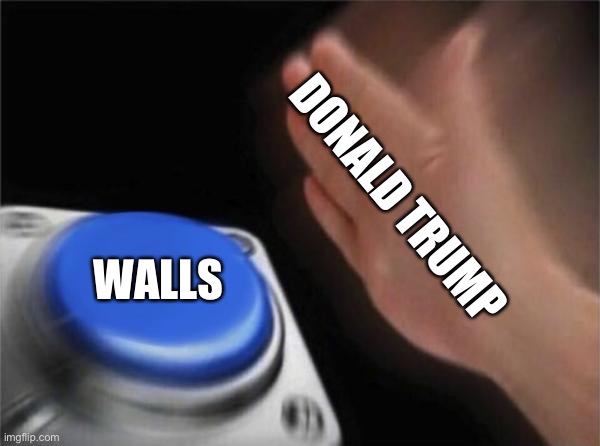 Blank Nut Button Meme | DONALD TRUMP; WALLS | image tagged in memes,blank nut button | made w/ Imgflip meme maker