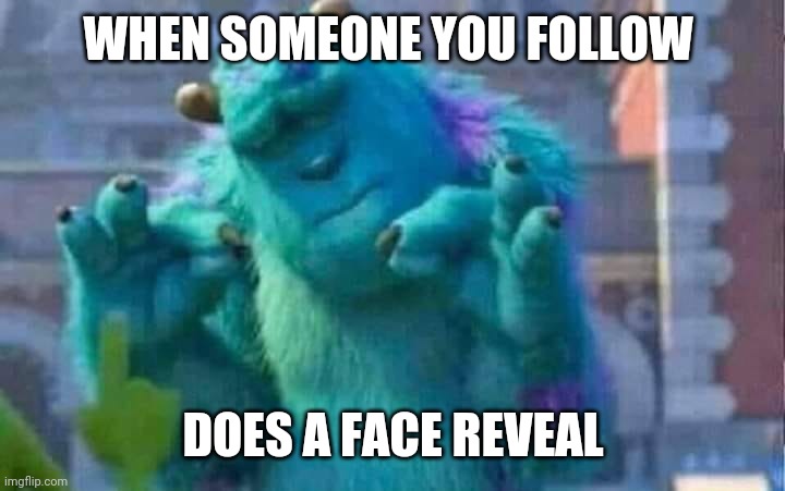 Sully shutdown | WHEN SOMEONE YOU FOLLOW; DOES A FACE REVEAL | image tagged in sully shutdown | made w/ Imgflip meme maker