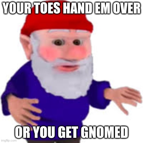 gnome | YOUR TOES HAND EM OVER; OR YOU GET GNOMED | image tagged in meanwhile on imgflip | made w/ Imgflip meme maker