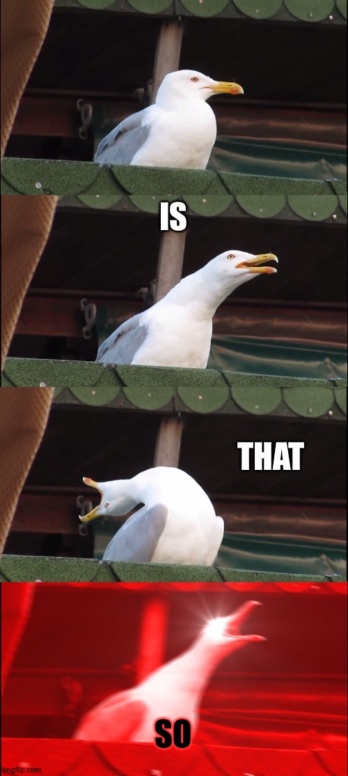 Inhaling Seagull | IS; THAT; SO | image tagged in memes,inhaling seagull | made w/ Imgflip meme maker