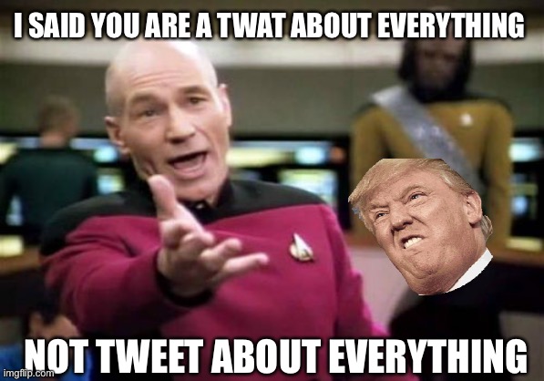 Fact check for dummies | I SAID YOU ARE A TWAT ABOUT EVERYTHING; NOT TWEET ABOUT EVERYTHING | image tagged in memes,picard wtf,donald trump,trump,twitter,fake news | made w/ Imgflip meme maker