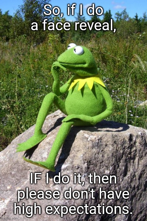 Kermit-thinking | So, if I do a face reveal, IF I do it, then please don't have high expectations. | image tagged in kermit-thinking | made w/ Imgflip meme maker