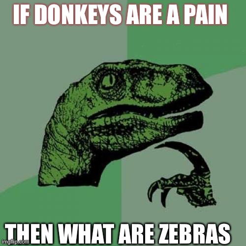 Philosoraptor | IF DONKEYS ARE A PAIN; THEN WHAT ARE ZEBRAS | image tagged in memes,philosoraptor | made w/ Imgflip meme maker