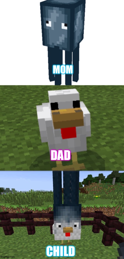 Funny | MOM; DAD; CHILD | image tagged in minecraft,chicken,squid | made w/ Imgflip meme maker