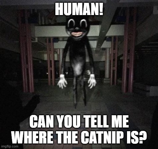Cartoon cat |  HUMAN! CAN YOU TELL ME WHERE THE CATNIP IS? | image tagged in cartoon cat | made w/ Imgflip meme maker