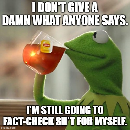 Fact Checking | I DON'T GIVE A DAMN WHAT ANYONE SAYS. I'M STILL GOING TO FACT-CHECK SH*T FOR MYSELF. | image tagged in memes,but that's none of my business,kermit the frog | made w/ Imgflip meme maker
