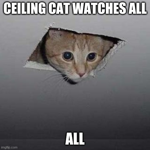 he watchin | CEILING CAT WATCHES ALL; ALL | image tagged in memes,ceiling cat | made w/ Imgflip meme maker