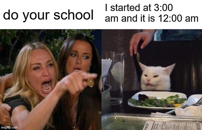 Woman Yelling At Cat | do your school; I started at 3:00 am and it is 12:00 am | image tagged in memes,woman yelling at cat | made w/ Imgflip meme maker