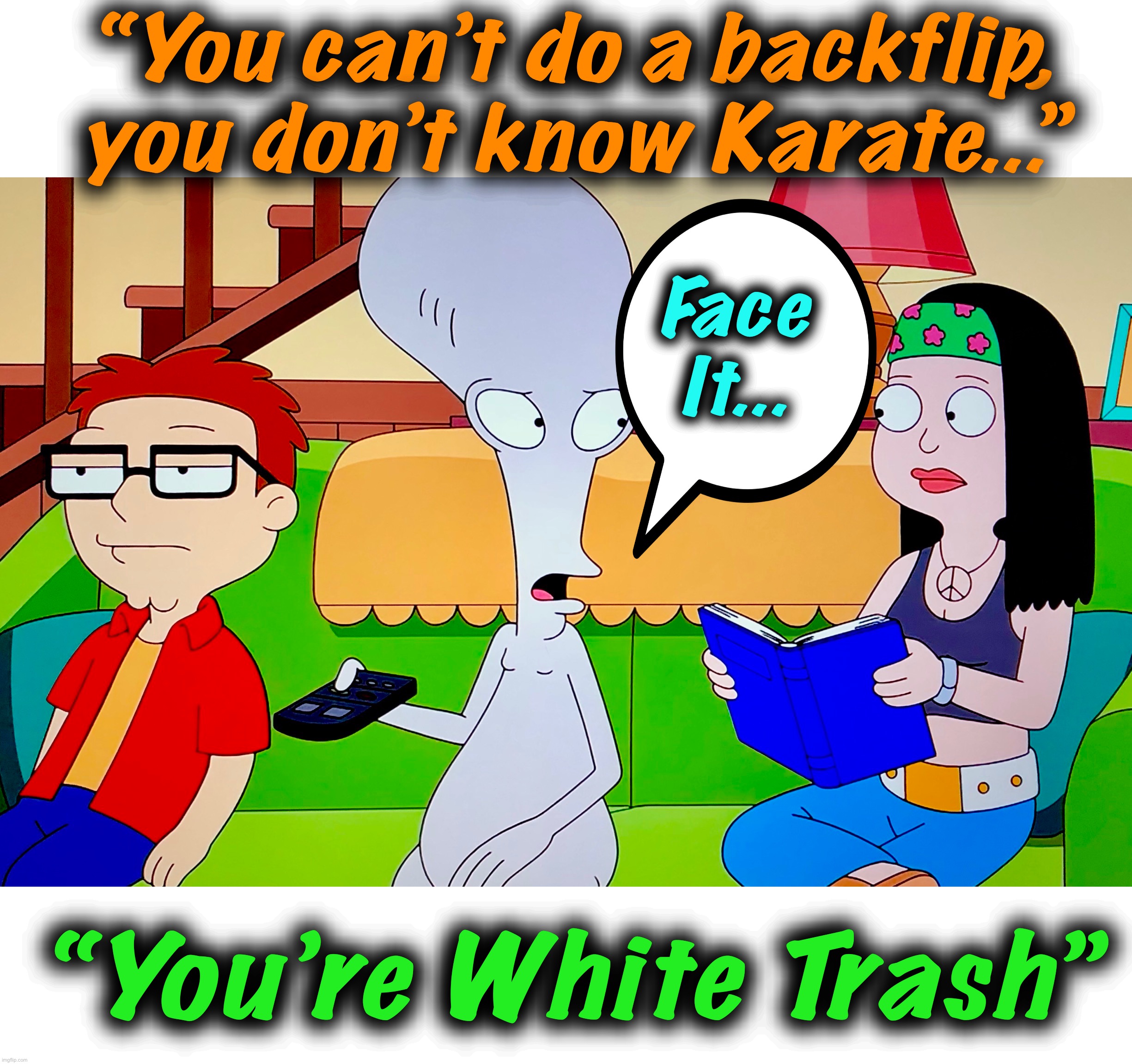 I don’t acknowledge those criteria | “You can’t do a backflip, you don’t know Karate...”; Face
It... “You’re White Trash” | image tagged in karate,memes,white trash,roger,american dad,the truth hurts | made w/ Imgflip meme maker