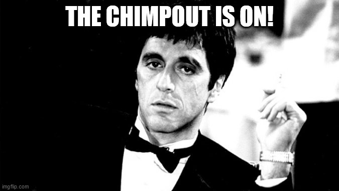 Scar face plumber | THE CHIMPOUT IS ON! | image tagged in scar face plumber | made w/ Imgflip meme maker