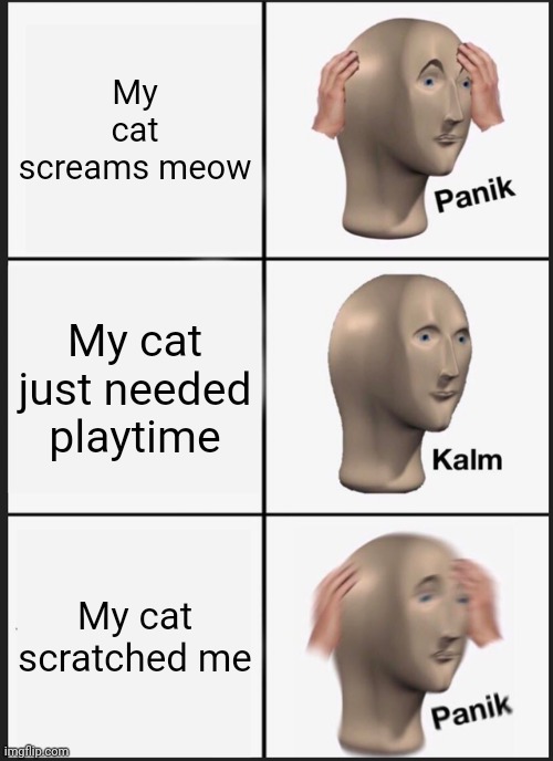 Panik Kalm Panik | My cat screams meow; My cat just needed playtime; My cat scratched me | image tagged in memes,panik kalm panik,cats,cat,funny,meme | made w/ Imgflip meme maker