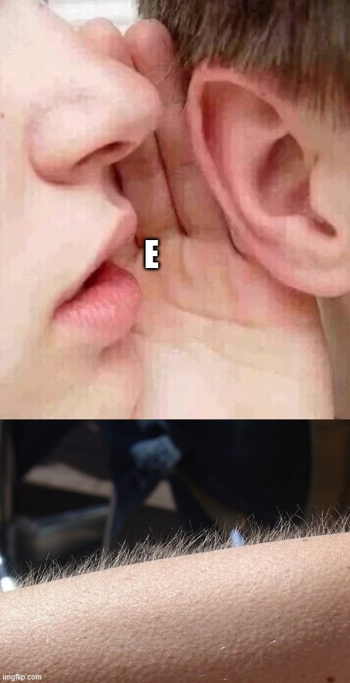 whisper in ear goosebumps | E | image tagged in whisper in ear goosebumps | made w/ Imgflip meme maker