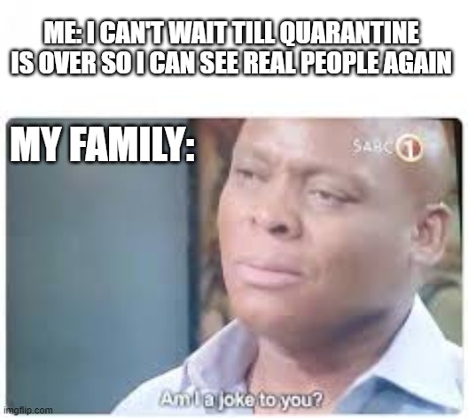 "real people" | ME: I CAN'T WAIT TILL QUARANTINE IS OVER SO I CAN SEE REAL PEOPLE AGAIN; MY FAMILY: | image tagged in quarantine,quarantinememe,coronavirus,funny | made w/ Imgflip meme maker