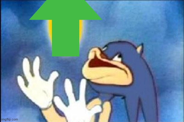 Sonic derp | image tagged in sonic derp | made w/ Imgflip meme maker