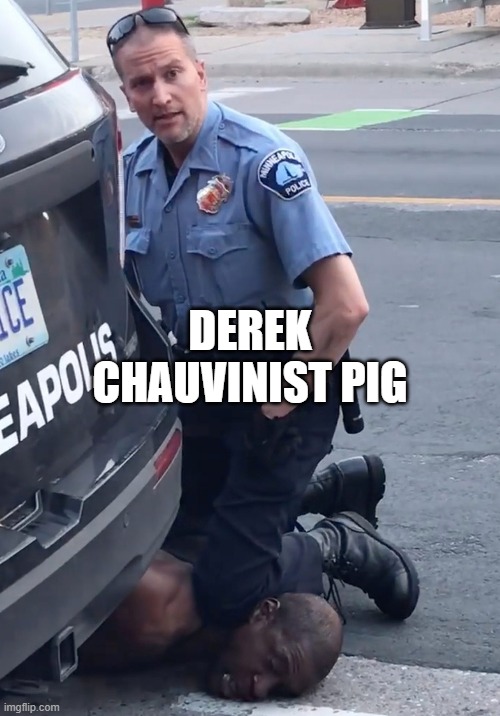 DEREK CHAUVINIST PIG | DEREK CHAUVINIST PIG | image tagged in derek chauvinist pig | made w/ Imgflip meme maker