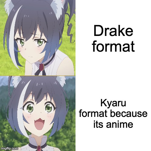 Kyaru format | Drake format; Kyaru format because its anime | image tagged in memes | made w/ Imgflip meme maker