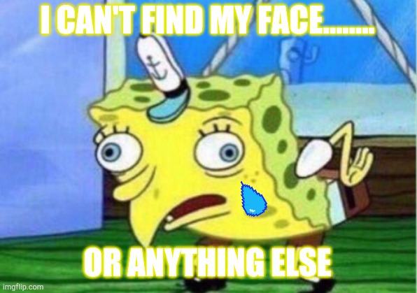 Help Me | I CAN'T FIND MY FACE........ OR ANYTHING ELSE | image tagged in memes,mocking spongebob | made w/ Imgflip meme maker
