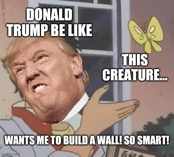 D Trump | DONALD TRUMP BE LIKE; THIS CREATURE... WANTS ME TO BUILD A WALL! SO SMART! | image tagged in donald trump,walls,butterfly | made w/ Imgflip meme maker